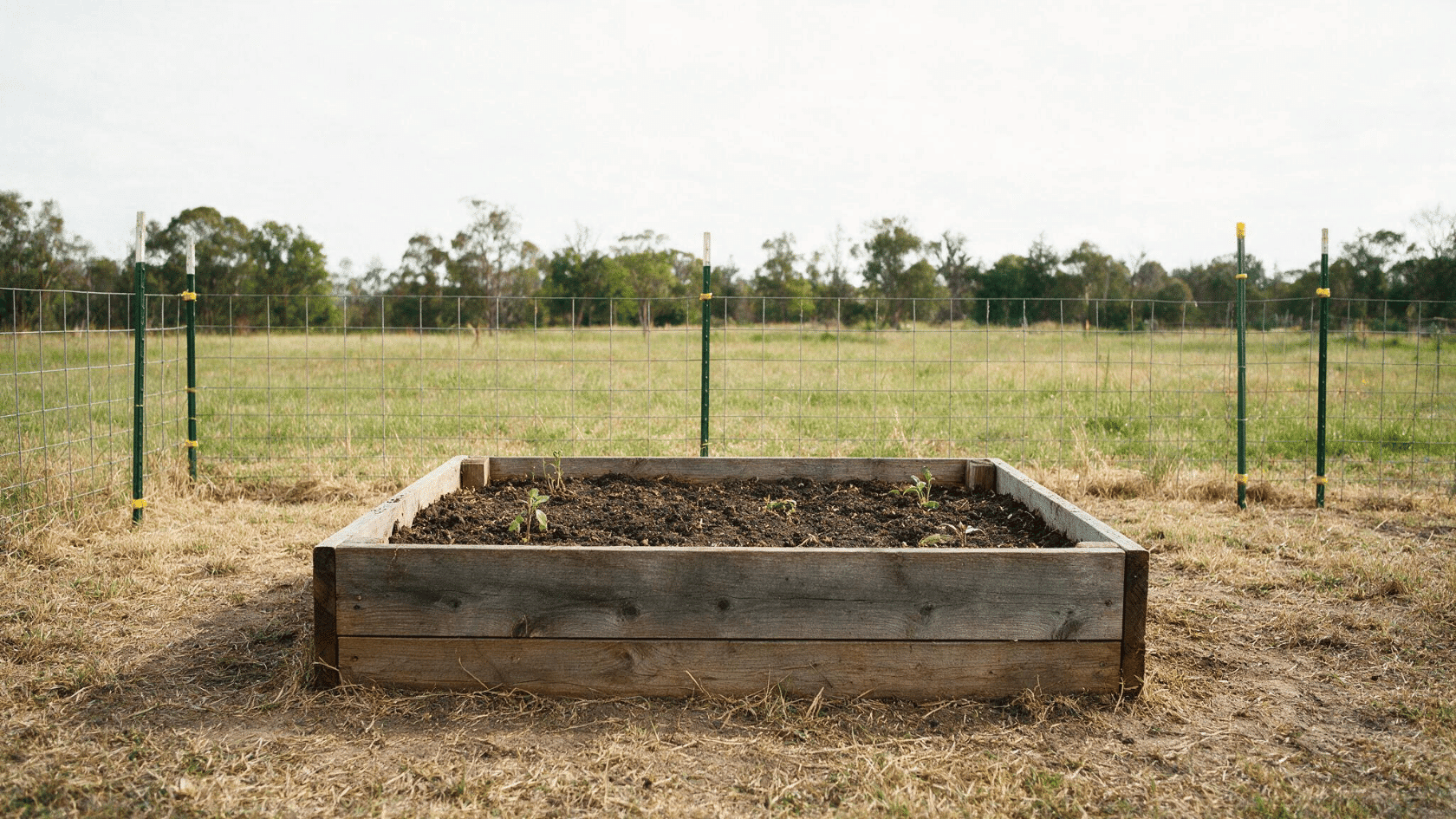 Custom Compost-Rich Mix soil filling a raised garden bed with young plants growing